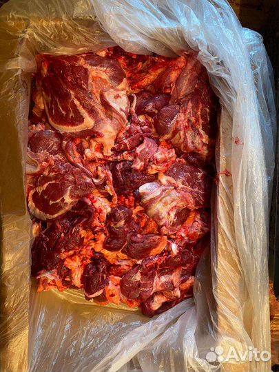 Мясо говядина для собак