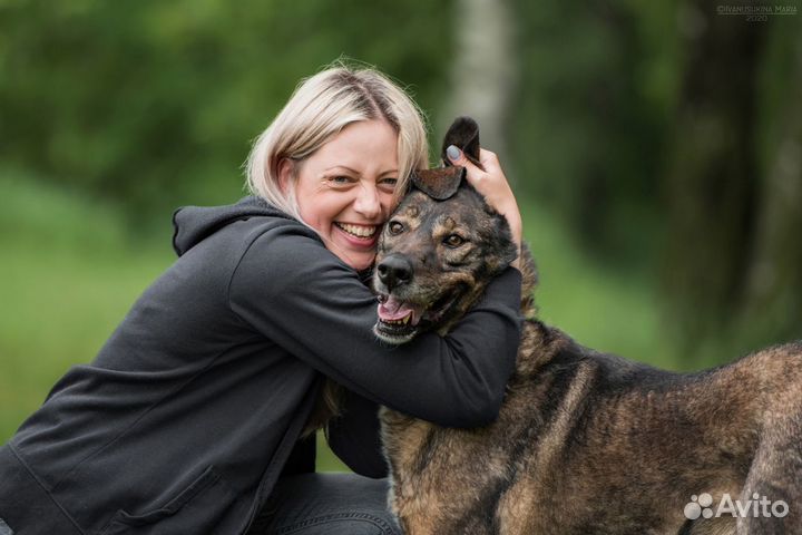 Собака Курт из приюта