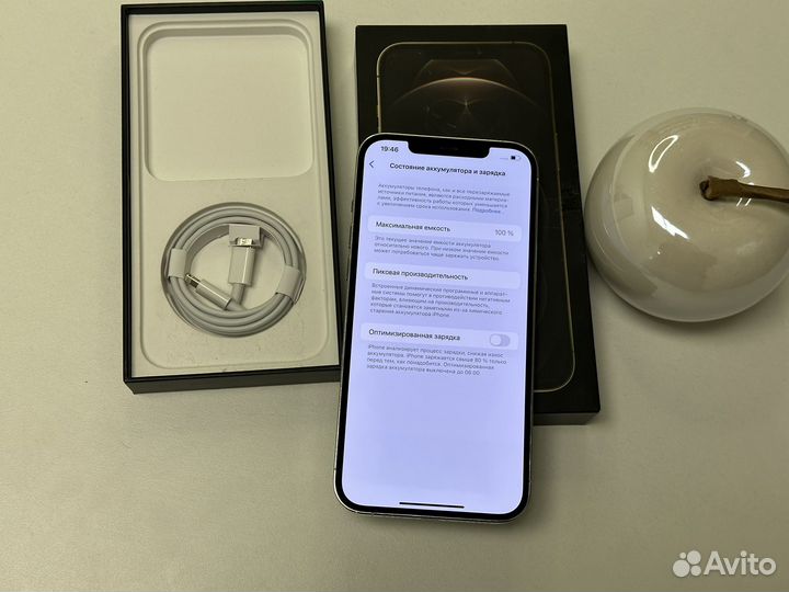 iPhone 12 Pro Max, 256 ГБ