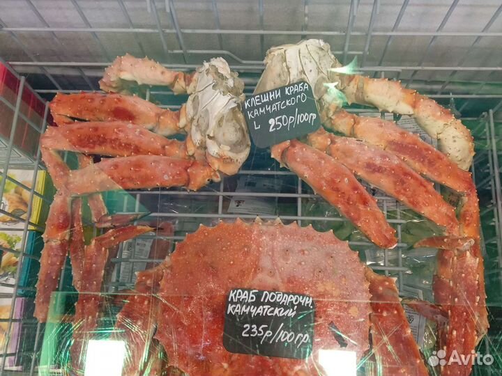 Камчатский краб фаланга