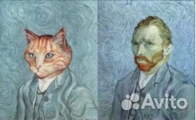 Винсент, 6 мес. Редкий окрас