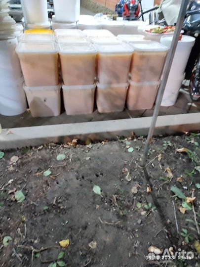 Мëд подсолнух