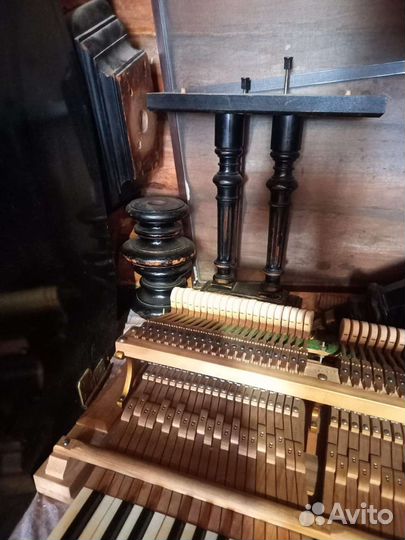 Рояль салонный Бекштейн