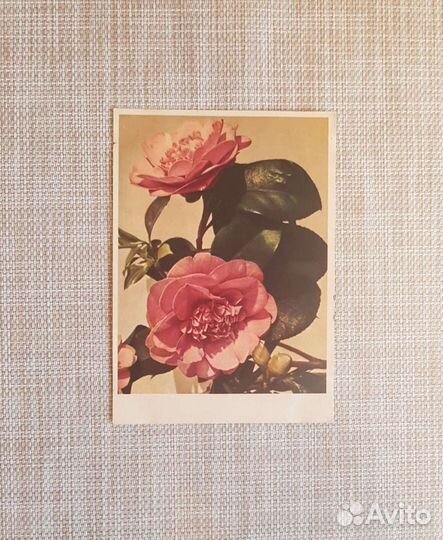 Открытки СССР 50-80-ые годы подписанные