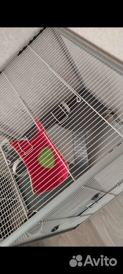 Клетка для хорька