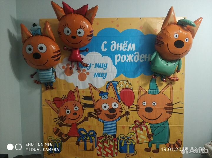 Баннер Три кота