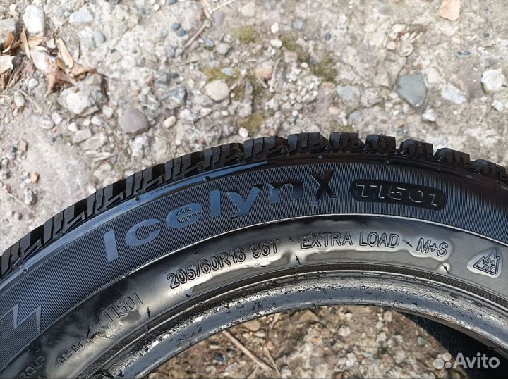 Triangle IcelynX TI501 205/60 R16