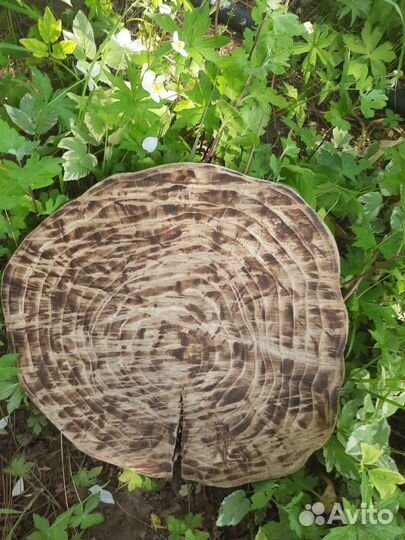 Натуральный слэб вяз обработанный