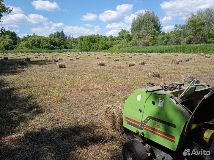 Продаётся сено в рулонах покос 2023 18-20кг