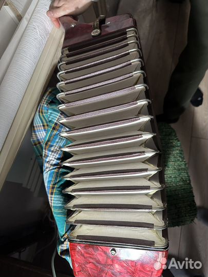 Аккордеон Royal standard Montana