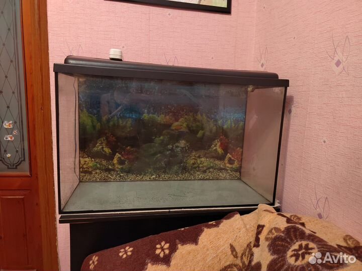 Аквариум 240л