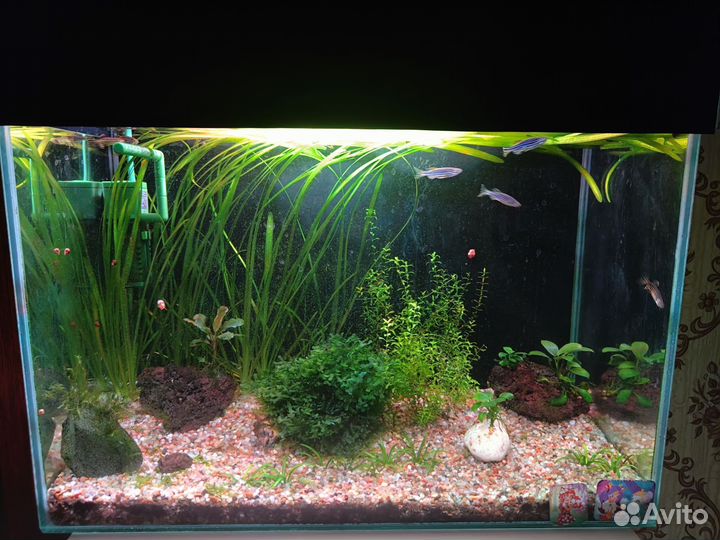 Аквариум 30л, полный комплект
