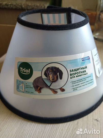 Защитный воротник для собак и кошек