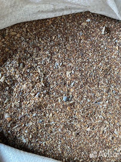 Ракушка морская кормовая 10 кг