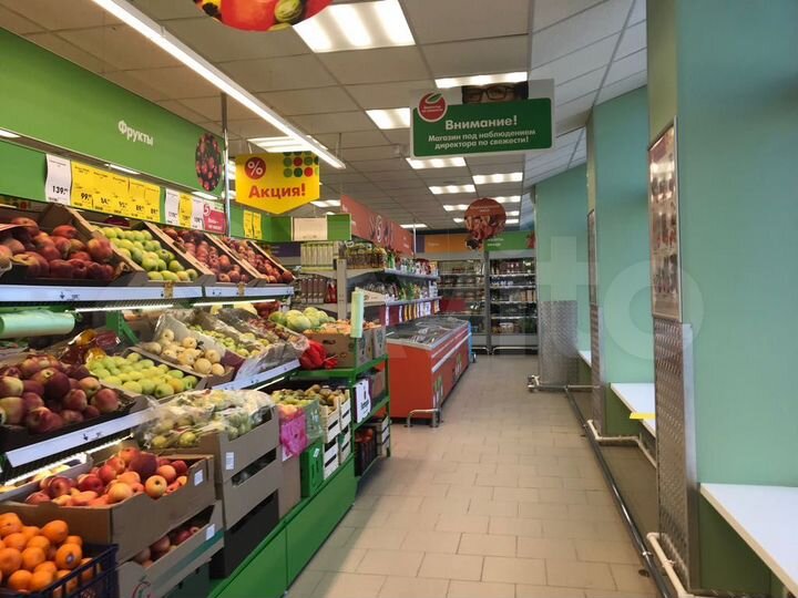 Пятерочка, арендный бизнес