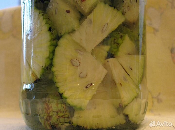 Маклюра -Адамово яблоко экстракт