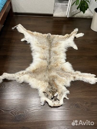 Шкуры рыси имитация