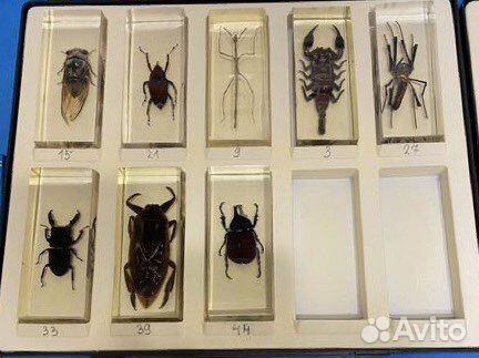 Газеты, журналы