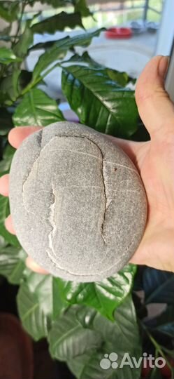 Всегда первый 1