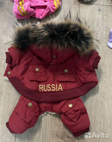 Одежда для маленьких собачек