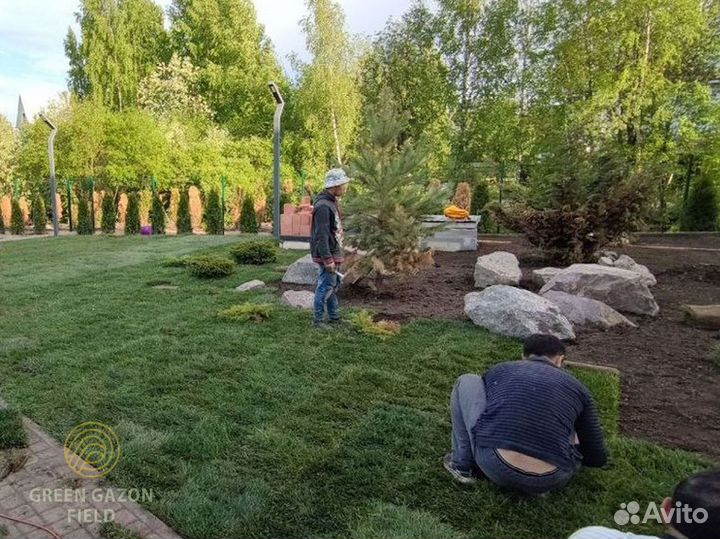 Полевой рулонный газон универсальный от производит