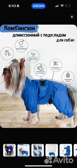 Комбинезон демисезон для собак мальчик yoriki XL