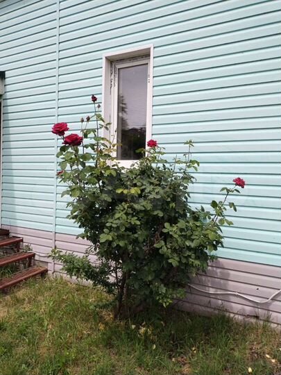 Дом 140 м² на участке 6 сот.