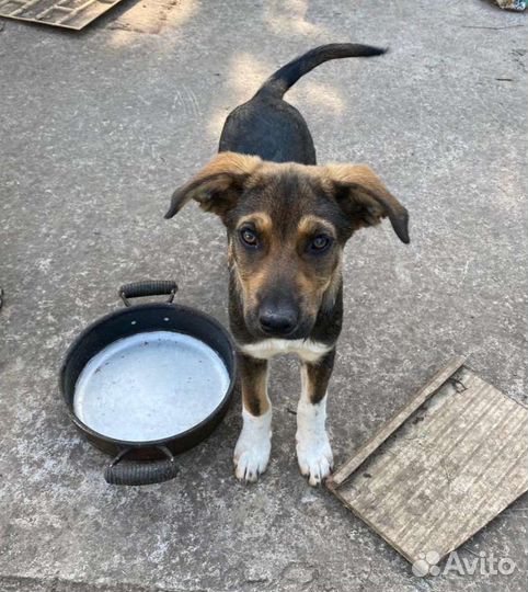 Я скоро погибну