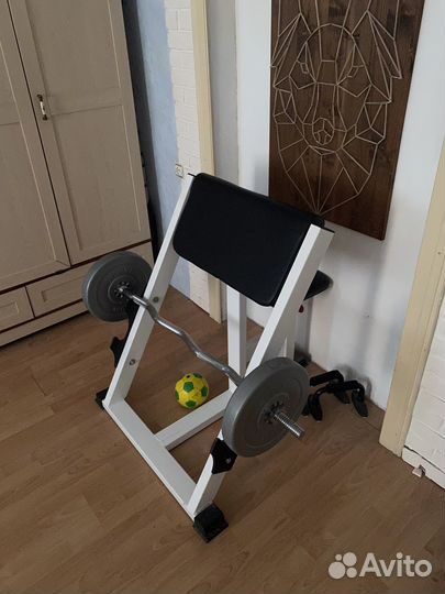 Скамья Скотта arms