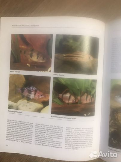 Аквариум и его обитатели. Книга