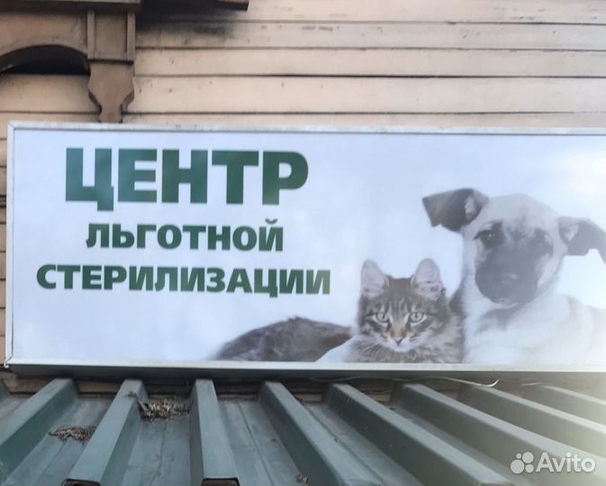 Стерилизация
