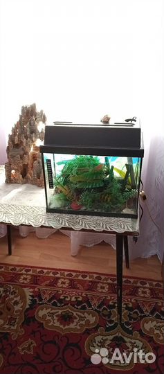 Обогреватель терморегулятор