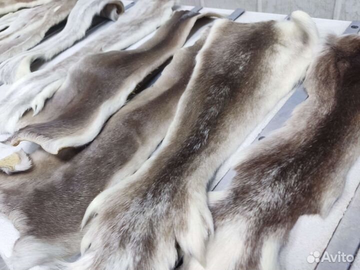 Светлый камус 11 шт унты лыжи