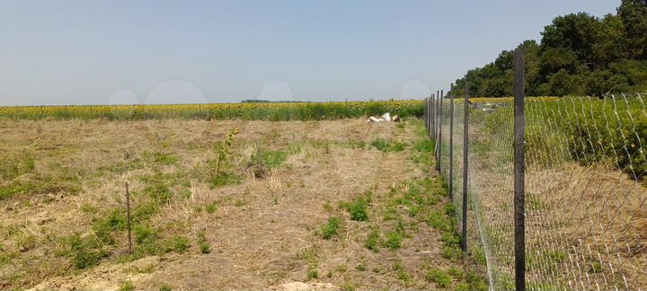 Участок 42 сот. (ИЖС)