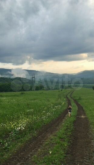 Участок 2,47 га (СНТ, ДНП)