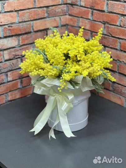 Мимоза букет цветы тюльпаны