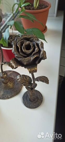 Железные цветы