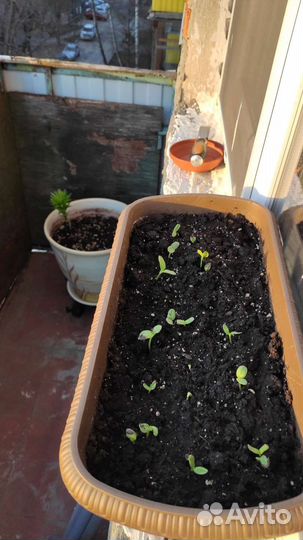 Светильник-отражатель для рассады