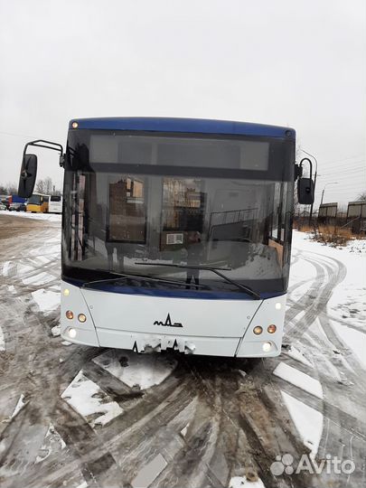 Городской автобус МАЗ 203, 2012