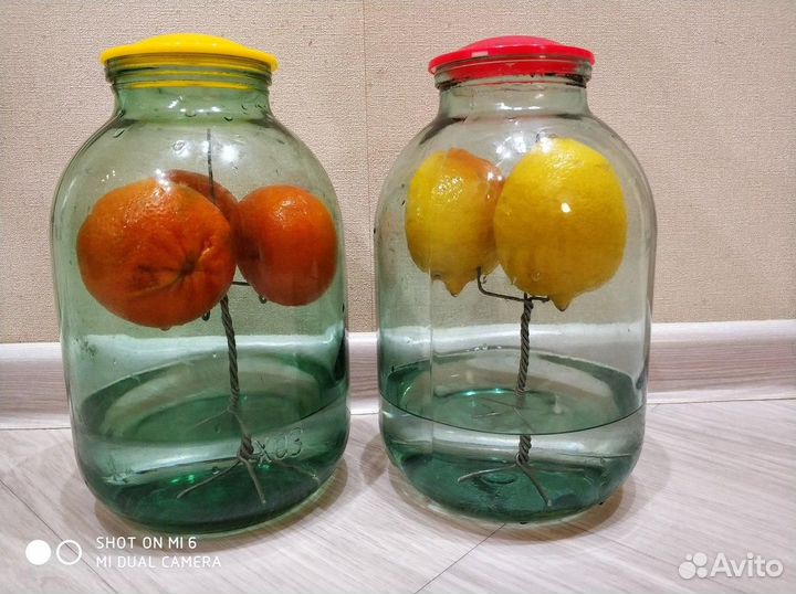 Аренда самогонного аппарата