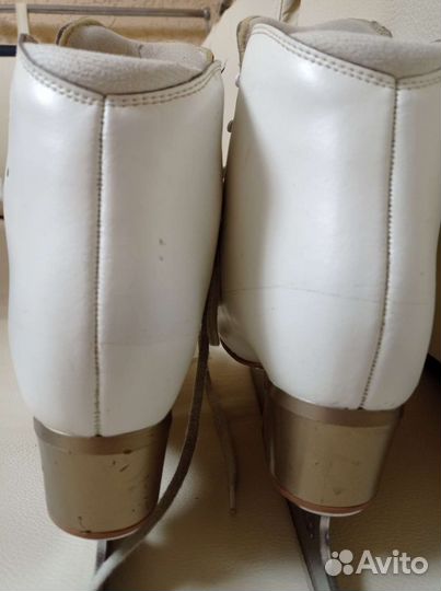 Коньки Edea Overture 255