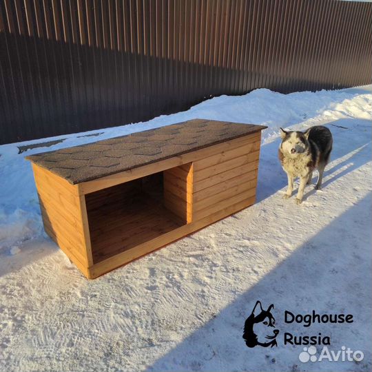 Будка, конура для собаки