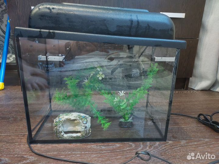 Аквариум