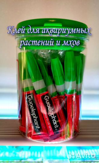 Аквариумные растения (Отправка по России)