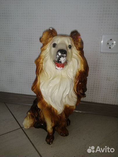 Собака копилка