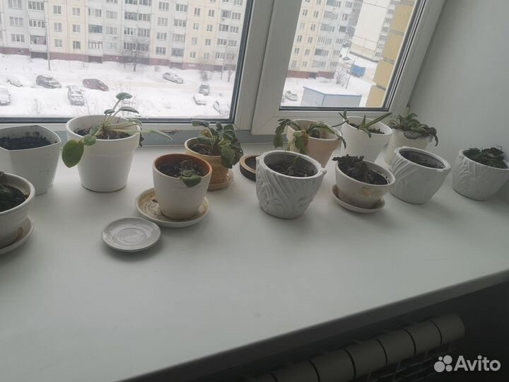 Горшки керамические цветочные бу