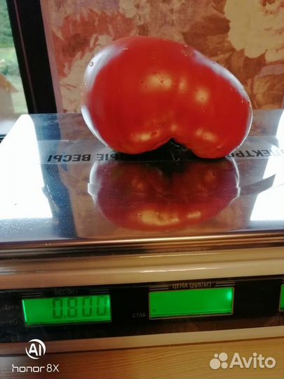 Семена коллекционных томатов