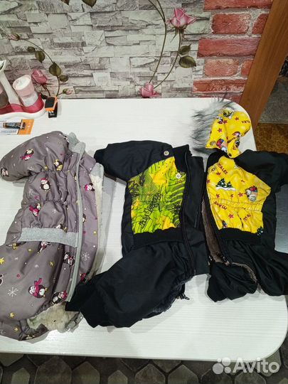 Одежда для собак