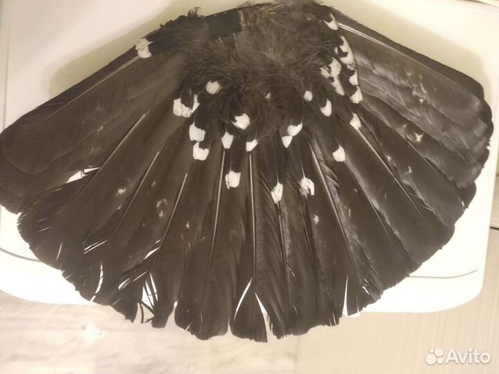 Хвост птицы