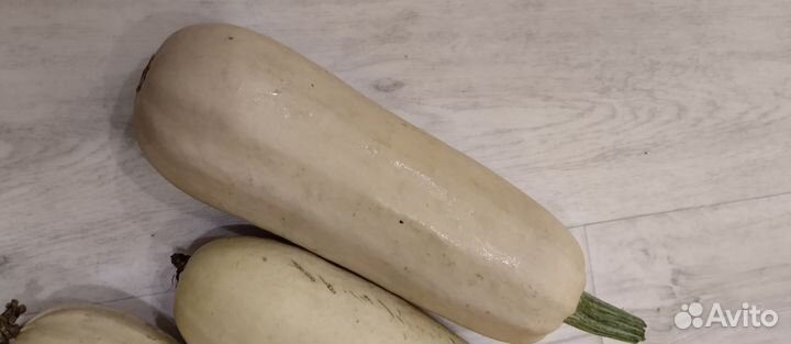 Кабачки домашние